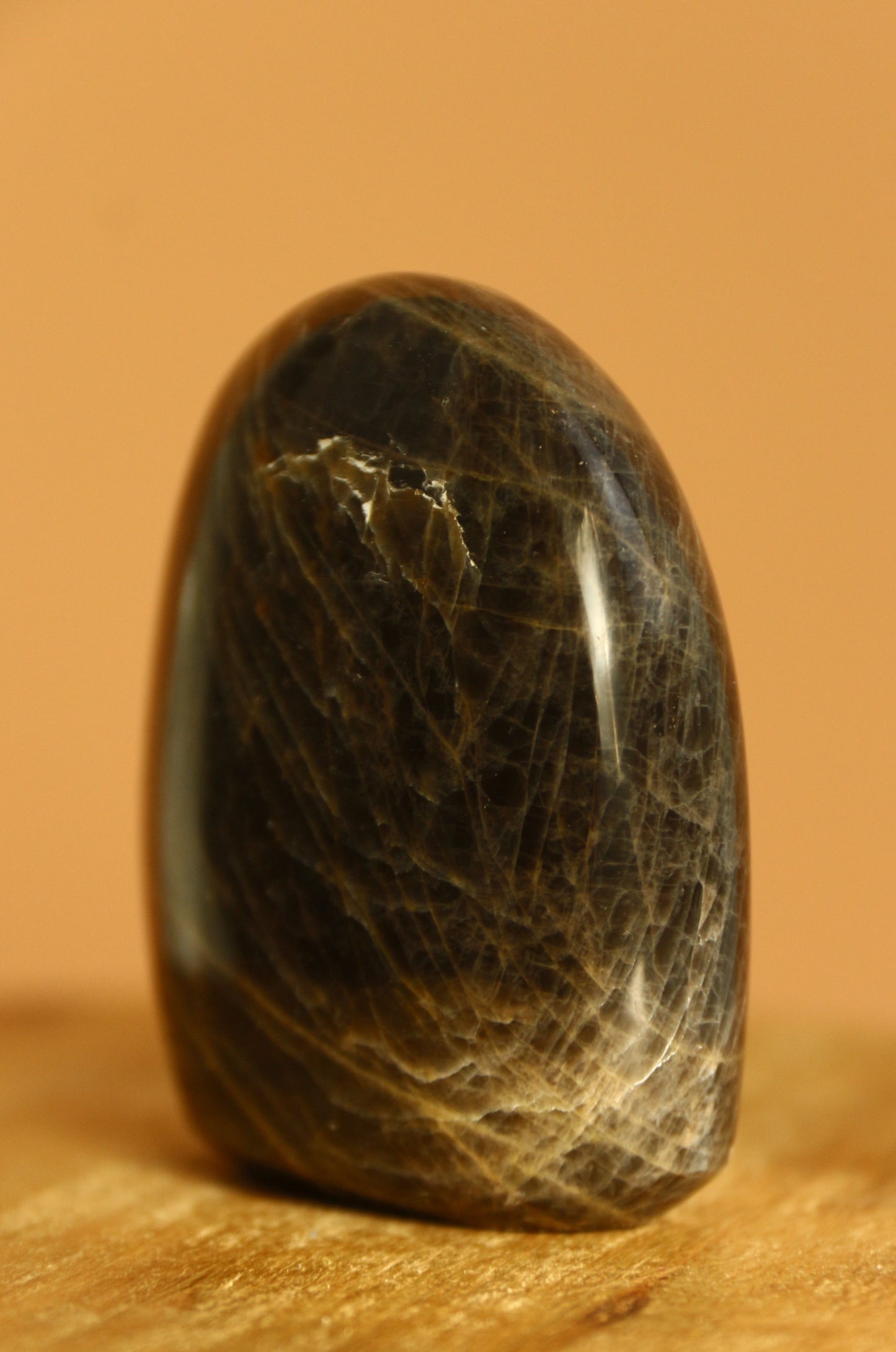 Pierre de lune noire - Forme libre n°310 | 113g |Origine Madagascar