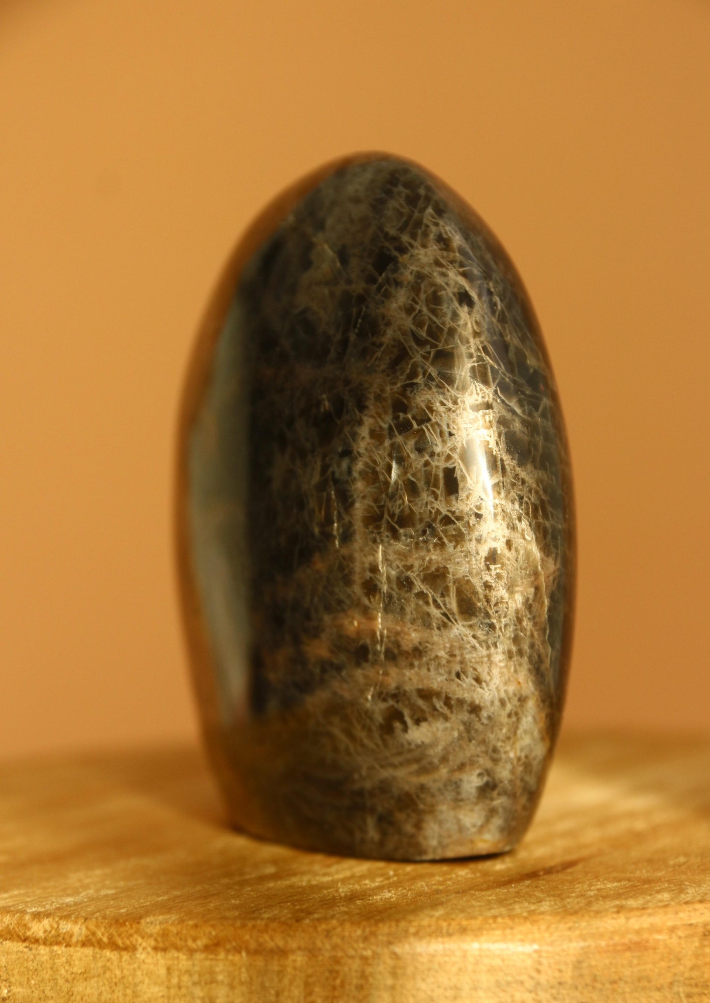 Pierre de lune noire – Forme libre n°313 | 227g | Origine Madagascar