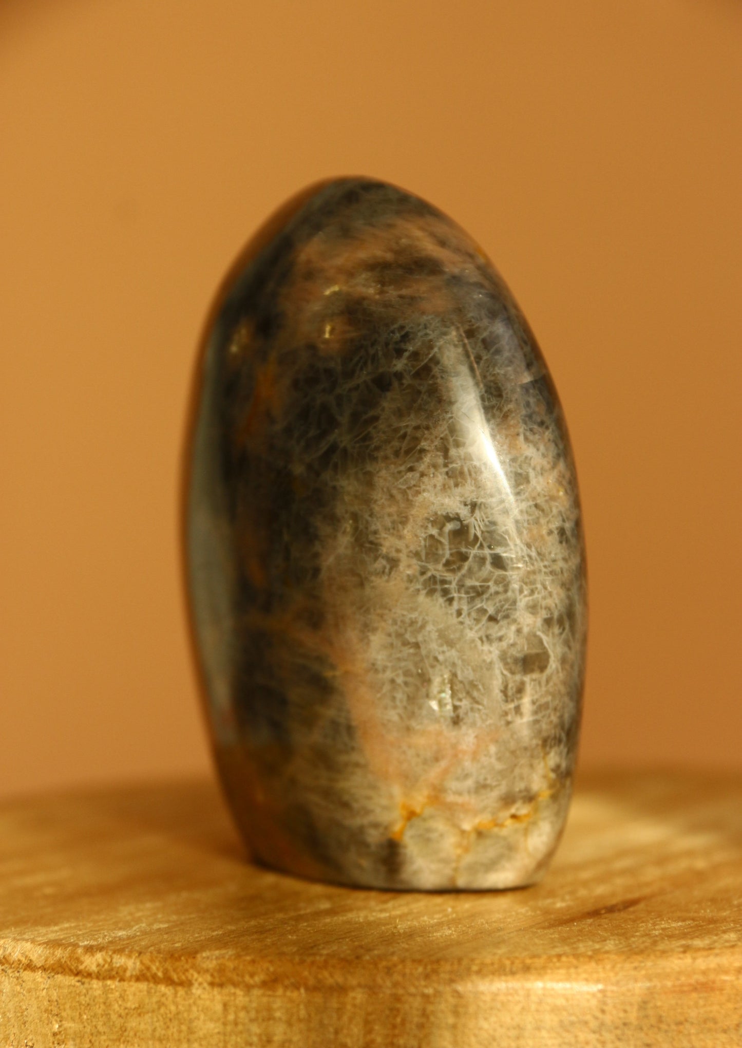 Pierre de lune noire – Forme libre n°313 | 227g | Origine Madagascar