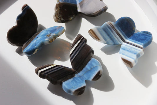 Papillons en Opale Bleue d'Owyhee