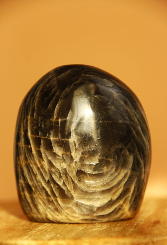 Pierre de lune noire – Forme libre n°314 | 163g | Origine Madagascar