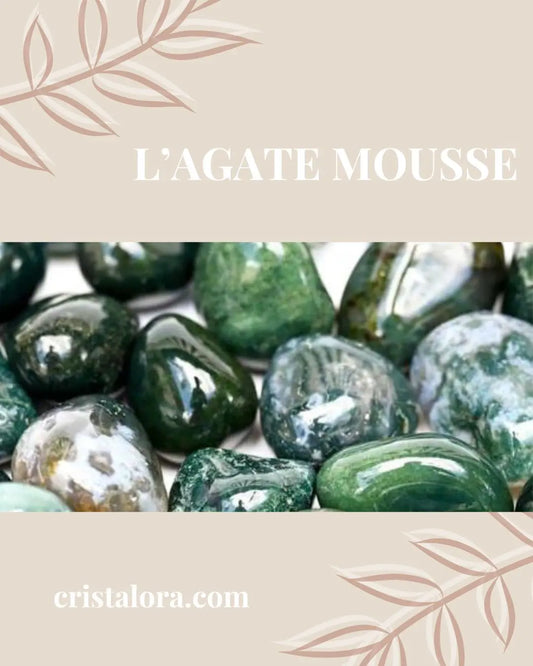 L-agate-mousse-Un-trésor-de-la-nature Cristal Ora