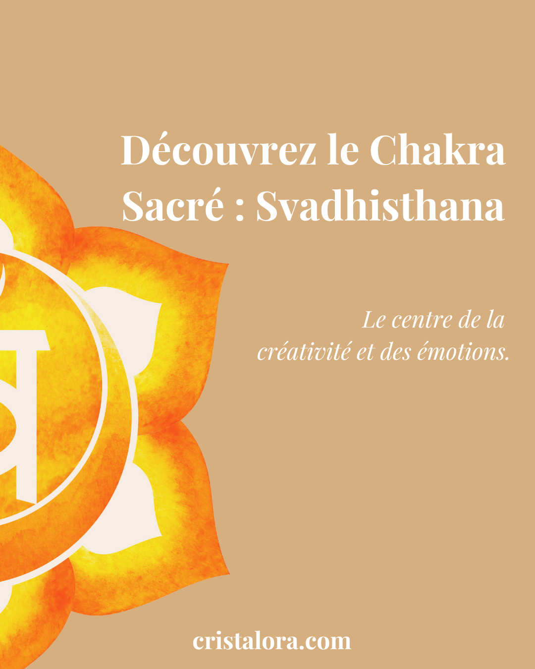 Tout Savoir sur le Chakra Sacré : Svadhisthana