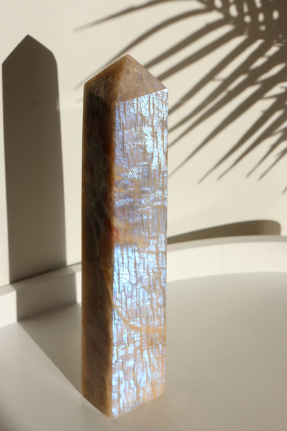 Pointe de pierre de lune adulaire - 20 cm - Reflets bleus célestes ✨