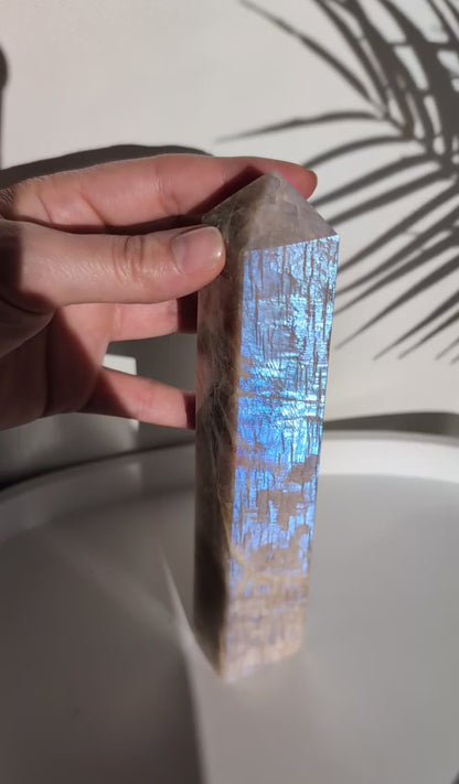 Pointe de pierre de lune adulaire - 20 cm - Reflets bleus célestes ✨