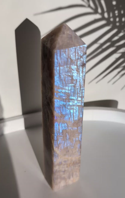 Pointe de pierre de lune adulaire - 20 cm - Reflets bleus célestes ✨
