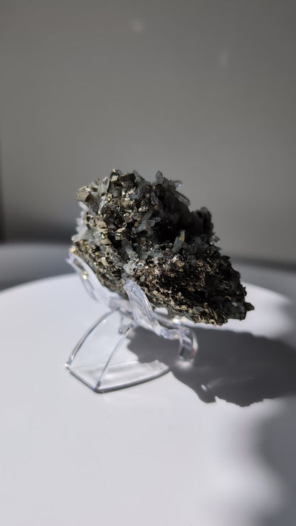 Pyrite sur quartz - Pierre brute n°62