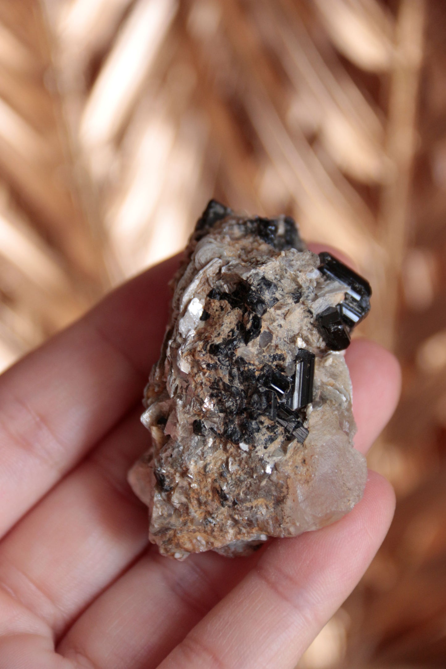 Tourmaline sur muscovite et quartz - Pierre brute n°388